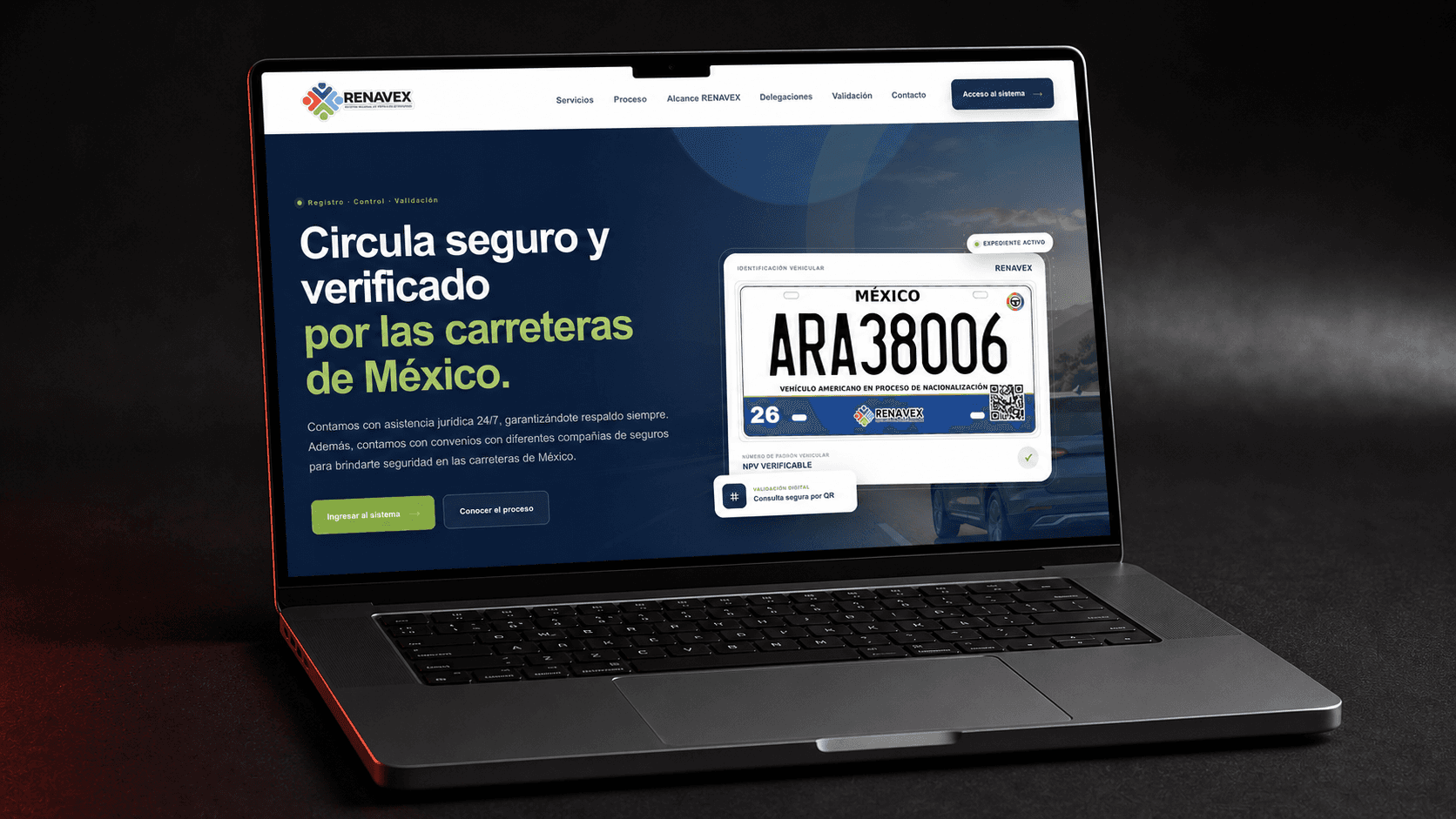 Vista del proyecto RENAVEX